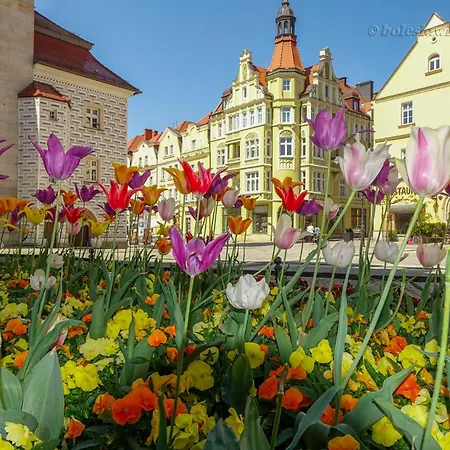 Apartament Przy Starówce - Hampton Boleslawiec  Zewnętrze zdjęcie