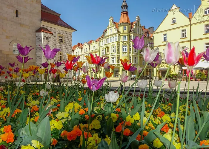 Apartament Przy Starówce - Hampton