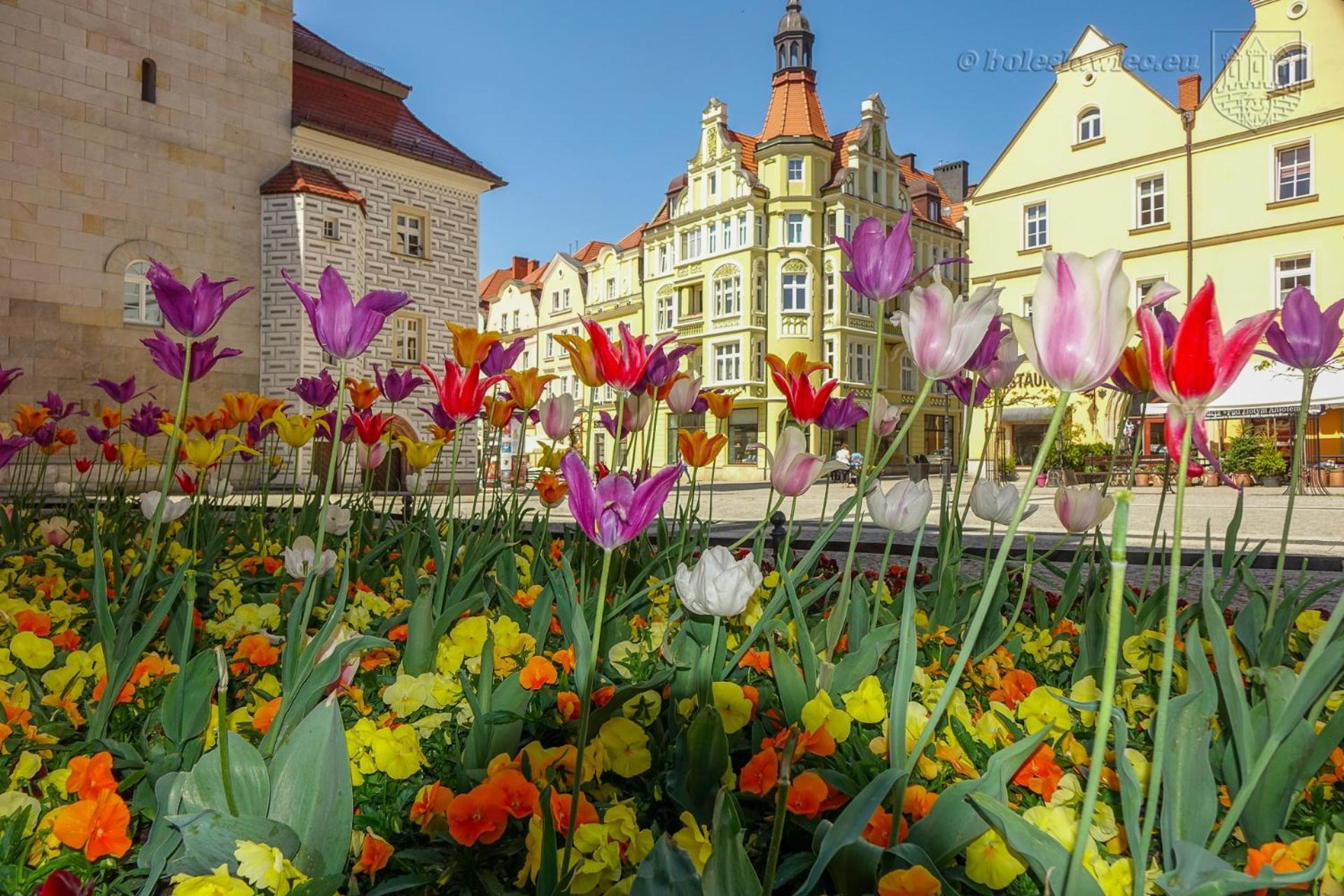 Przy Starówce - Hampton * Boleslawiec (Lower Silesia)